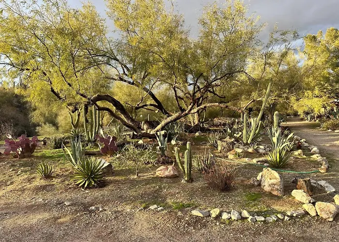 One Bedroom At Rancho Rillito *